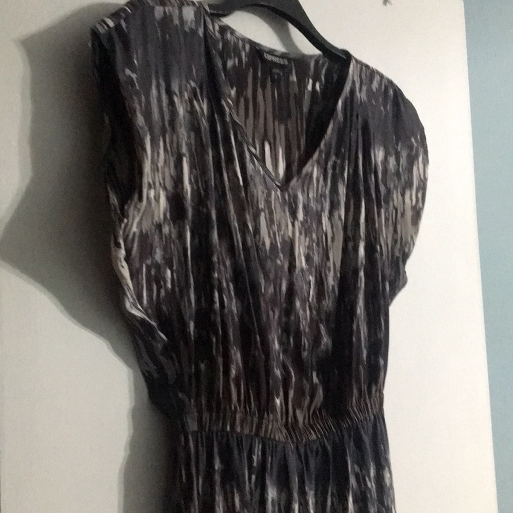 Express Dress - Picture 4 of 6